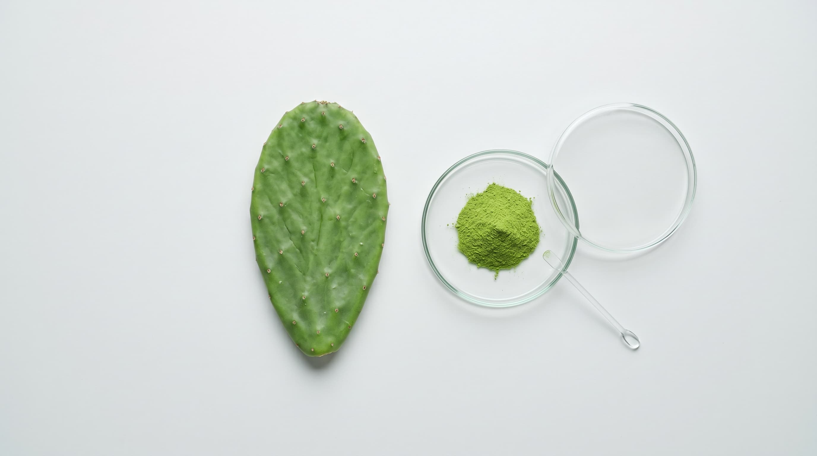CalStop product photo 5
