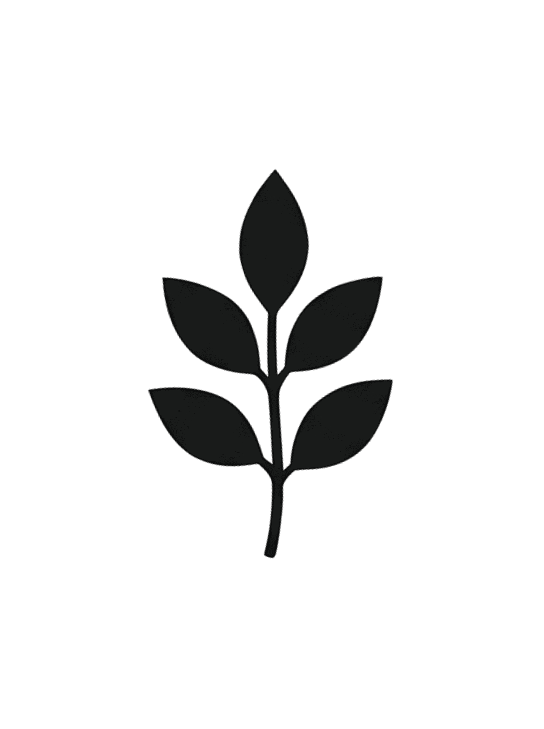 Bean extract